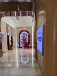 -深圳美莱医疗美容医院