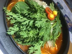 -韩香福脊骨汤锅(上杭路店)