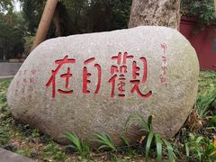 -峨眉山报国寺