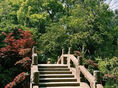 -上海醉白池公园