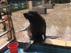 -贵州森林野生动物园