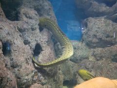 -福州罗源湾海洋世界旅游区