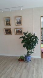 -一花一叶瑜伽生活馆