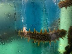 -聚德福海鲜家常菜(刘庄店)