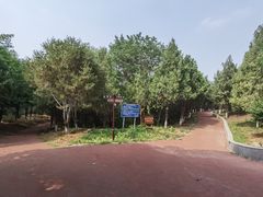 -云岗森林公园