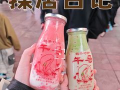 -鹤茶野所(上海首店)
