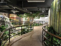 -中山市树木园