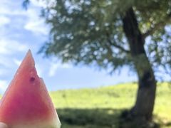 -新疆那拉提国家旅游度假区