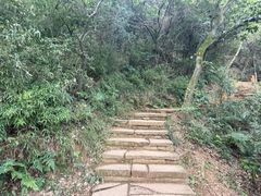 -杭州半山国家森林公园