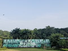 -深圳野生动物园