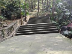 -铁山坪森林公园