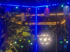 -醉二娘正宗西昌火盆烧烤(大丰店)