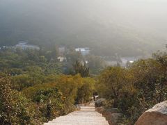 -东澳岛