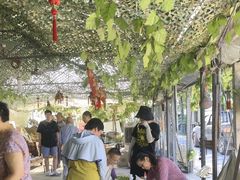 -马陆小张葡萄园农家乐