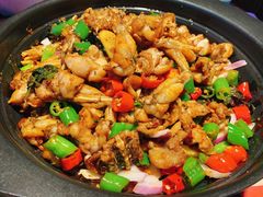 青椒紫苏味-蛙小侠·沸腾砂锅(南山欢乐颂店)