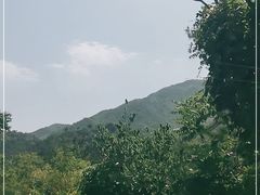 -老象峰