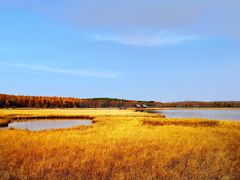 -塞罕坝国家级自然保护区