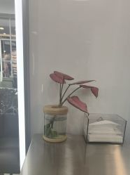 -时尚殿堂hair salon