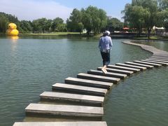 -上海佘山世茂艾美酒店