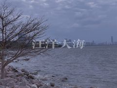 -深圳湾公园(南山区)