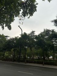 -纵享怡月月子中心(西稍门店)