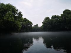 -百脉泉景区