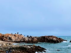 -小麦岛公园