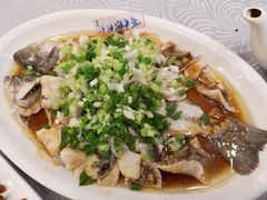 香葱淋鲈鱼-粤·向群饭店(龙津东路总店)