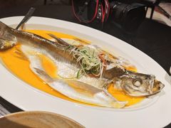 鸡汁湖水大白鱼-杭州桐庐康莱德酒店中餐厅·乐