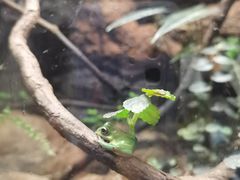 -广州长隆飞鸟乐园