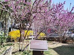 -莲湖公园