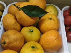 -重庆老船夫冷锅鱼(黄金路店)