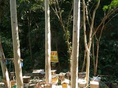-火炉山森林公园