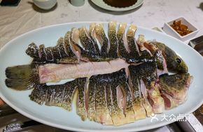 River Cod