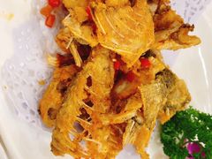 -寻味顺德·南记酒家·传统顺德菜·鱼生(广源路店)