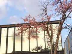 -星巴克(深圳前海企业公馆店)