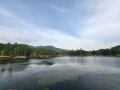-海南热带雨林国家公园吊罗山景区
