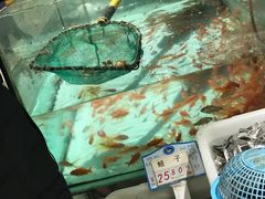 -大润发(衢州店)