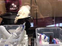 -MOLLY'S萌宠生活馆