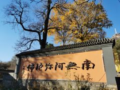 -北京凤凰岭