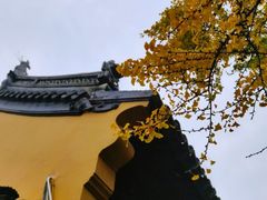 景点-北寺塔