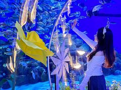 -顺德南宏海立方海洋公园