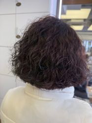-镁连社·美联社