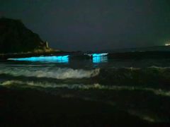 -考记泥焗鸡农庄·海鲜(北洛秘境店)