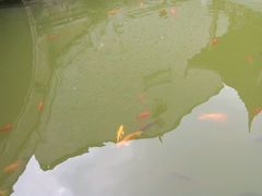 -龙潭水乡