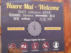 -怀托摩萤火虫洞