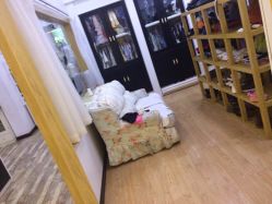 -星豆豆儿童摄影(南郊太白南路店)