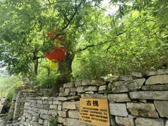 -井塘古村