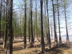 -四明湖