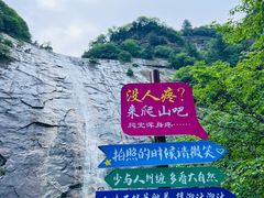 -朱雀国家森林公园